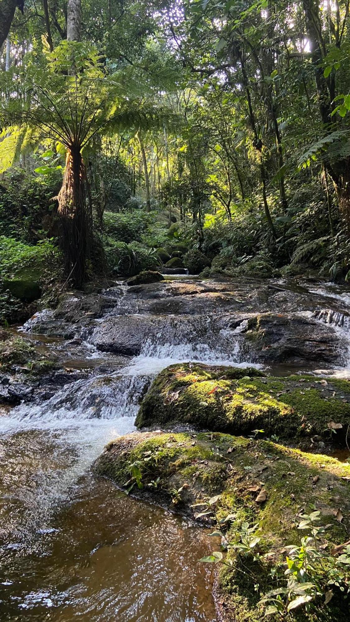 Pousada Caminhos De Gaia São Francisco Xavier Екстериор снимка